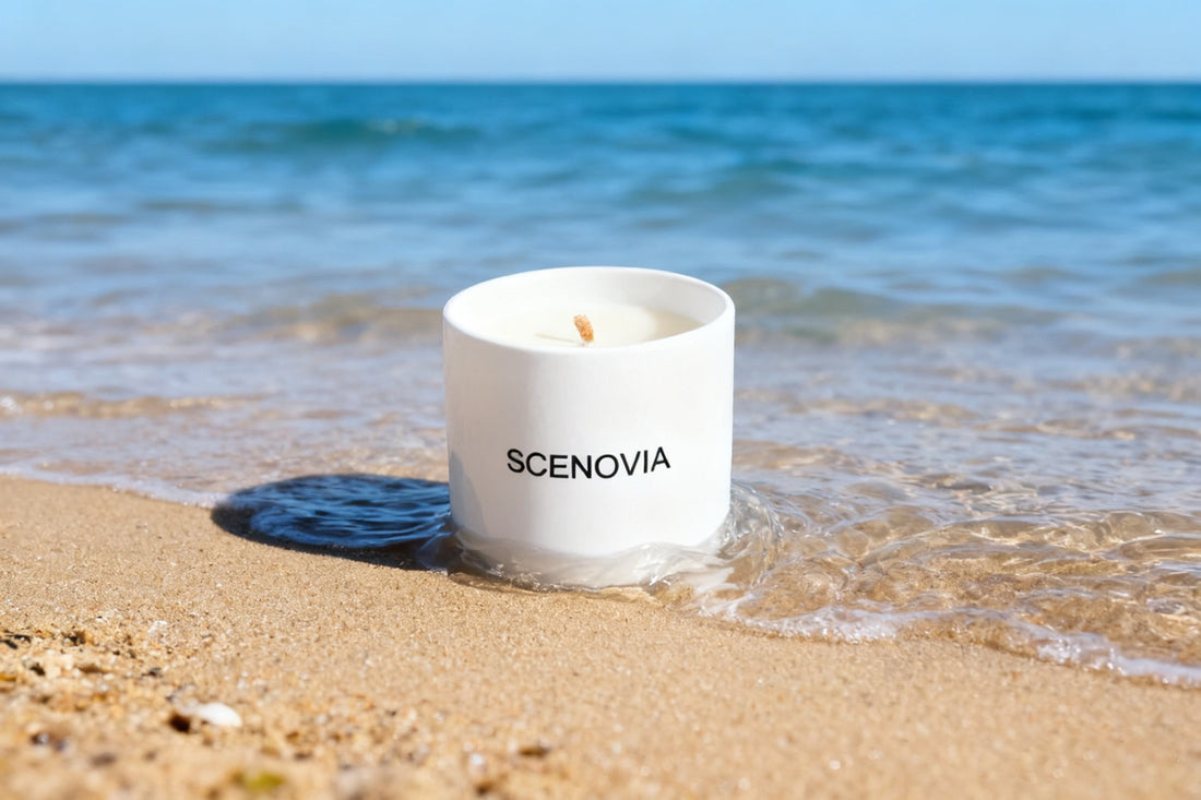 SCENOVIA Sea Breeze Scented Soy Candle in Ocean Aromatherapy