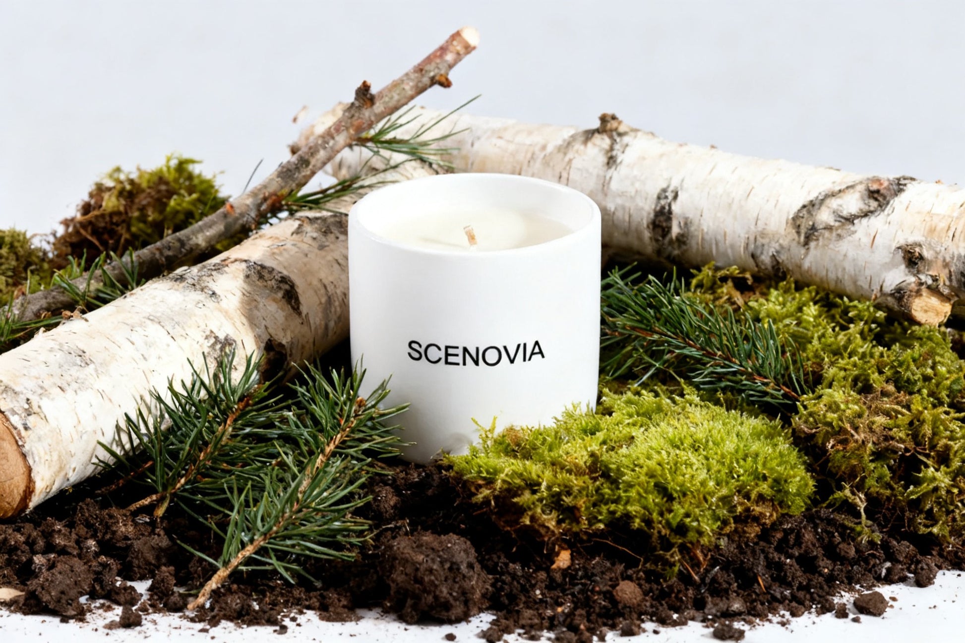 SCENOVIA Blue collier driftwood Soy Candle in Ceramic cups,50+Hour Burn,Christmas Gift,Birthday Gift,Gift for Her,Self Care