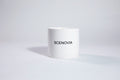 SCENOVIA Luxury Aromatherapy Scented Candle