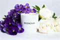SCENOVIA Luxury Aromatherapy Scented Candle,Bobbys' Flower Shop Aromatherapy