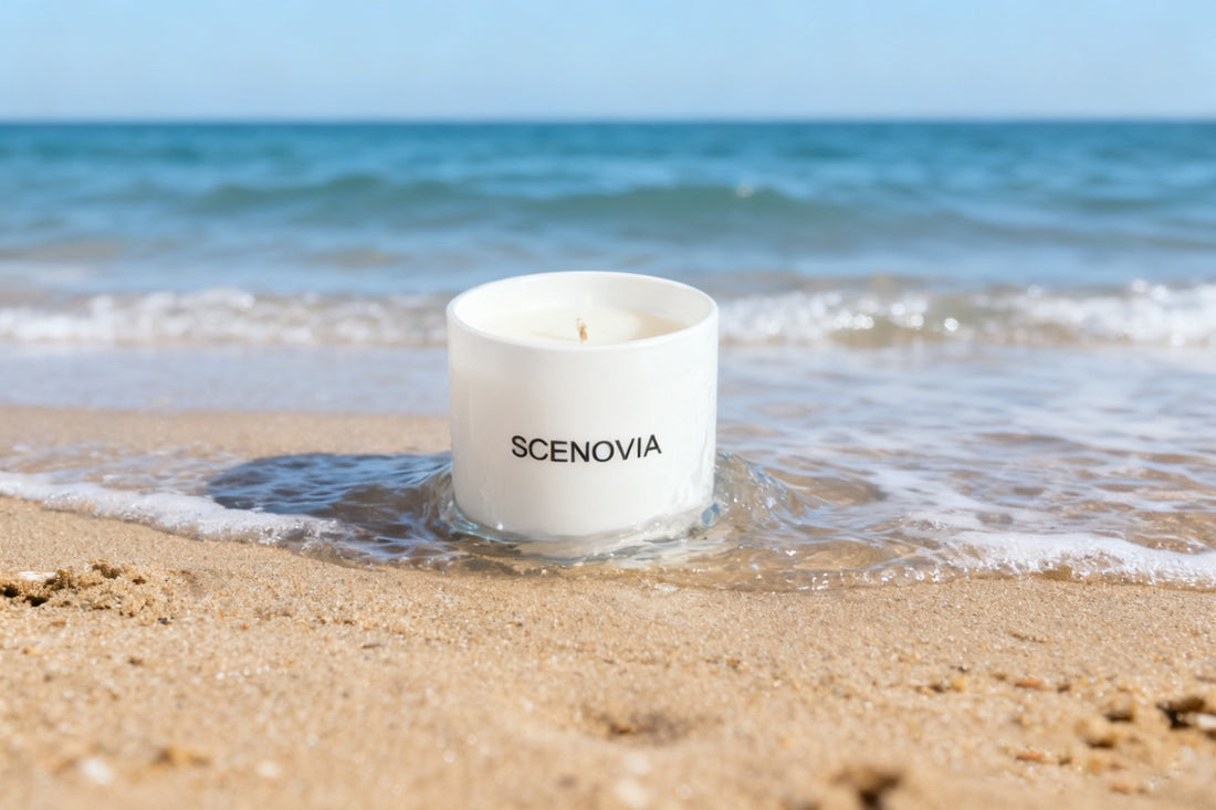 SCENOVIA Sea Breeze Scented Soy Candle in Ocean Aromatherapy
