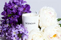 SCENOVIA Luxury Aromatherapy Scented Candle,Bobbys' Flower Shop Aromatherapy