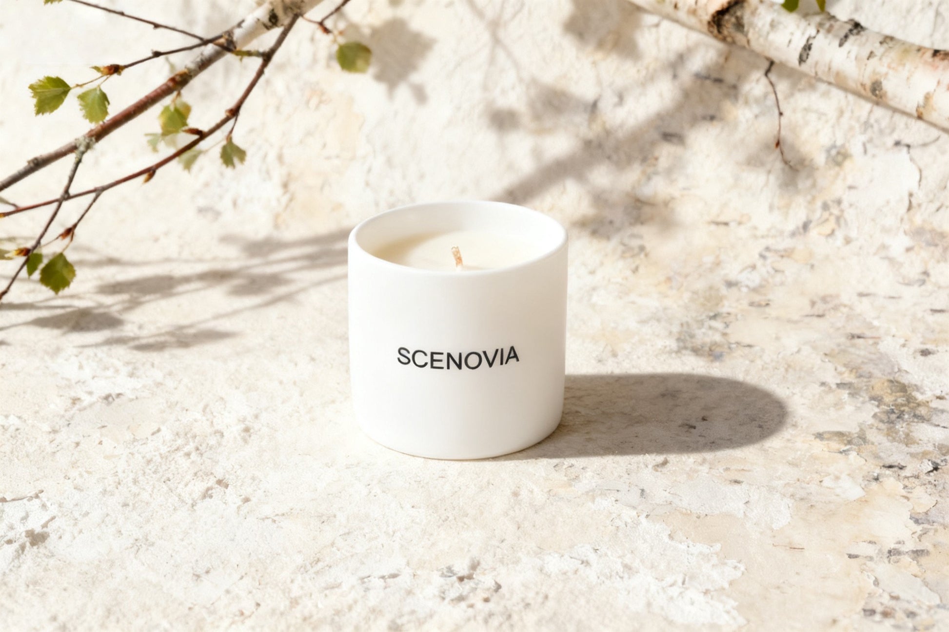 SCENOVIA French Black Juniper Natural Scented Candle Forest Notes