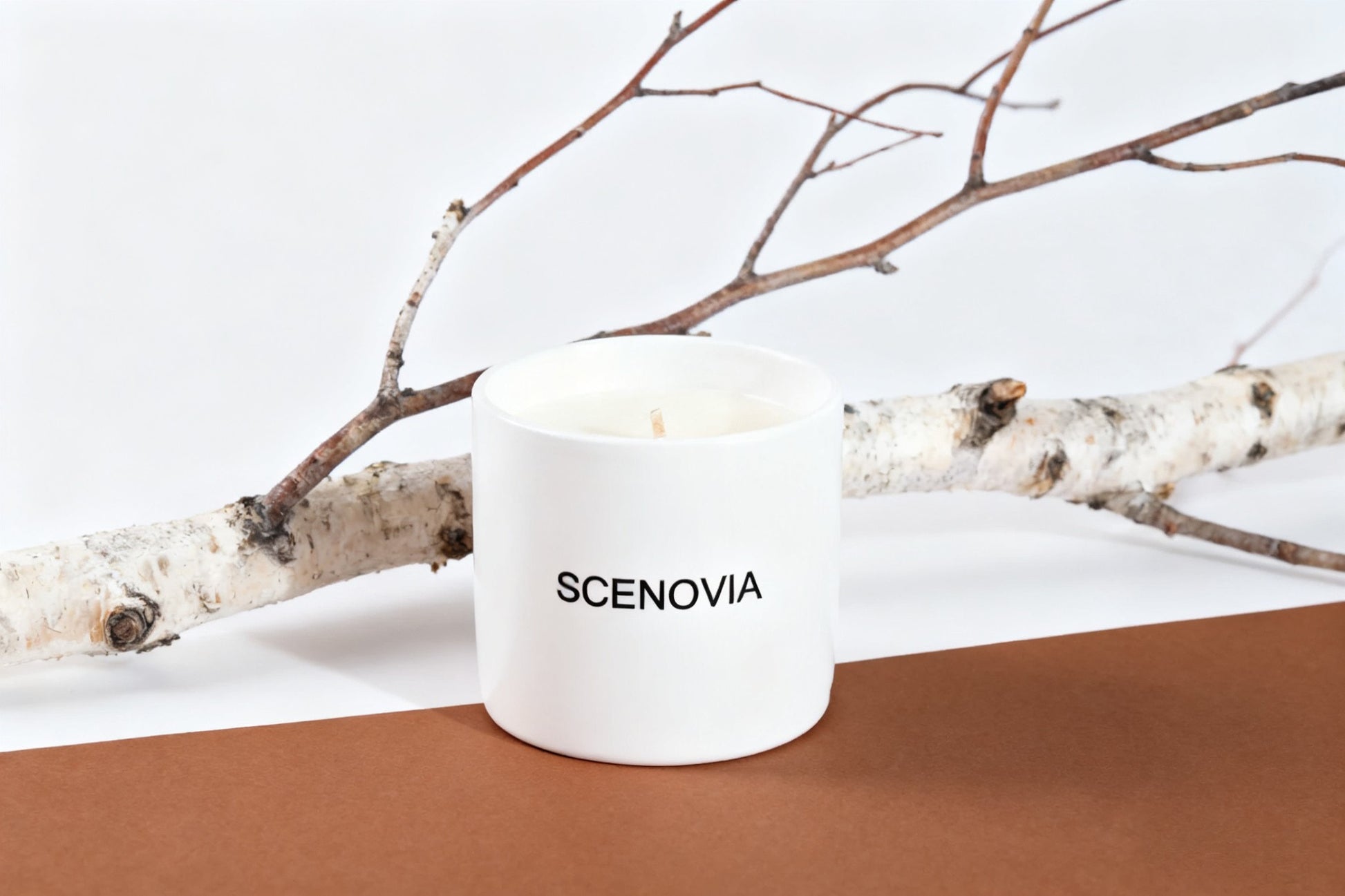 SCENOVIA French Black Juniper Soy Candle Woody Notes for Home Decor & Aromatherapy
