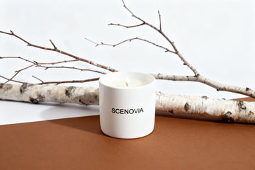 SCENOVIA French Black Juniper Soy Candle Kiln-Fired Reusable Ceramic Vessel for Home Decor & Aromatherapy