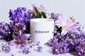SCENOVIA Floral Scented Soy Candle in Ceramic Cup: Bobbys Flower Shop Aromatherapy
