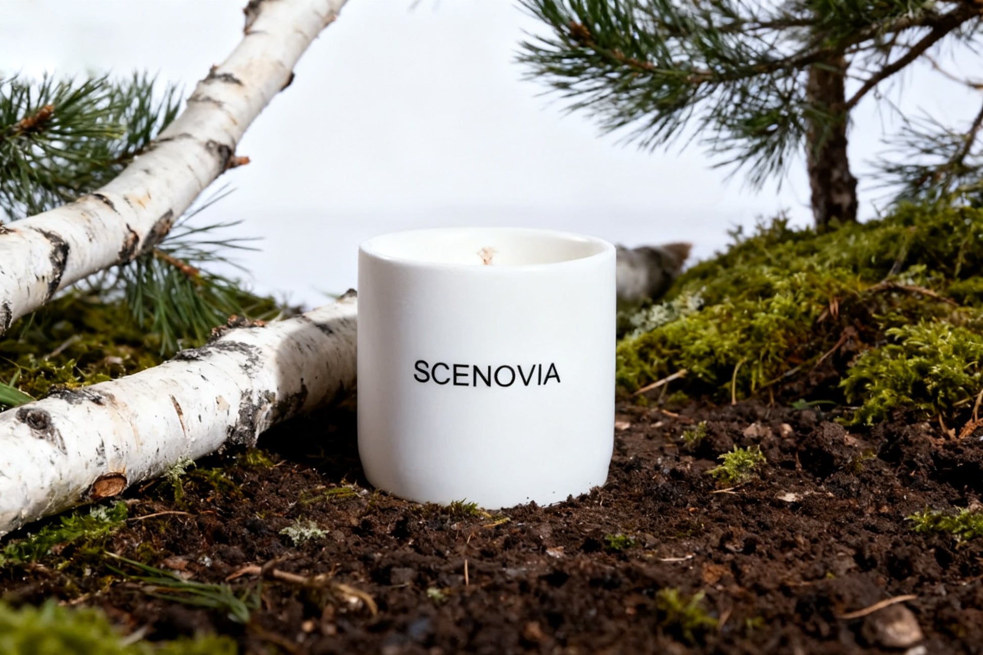 SCENOVIA woody notes Soy Candle in Ceramic cups for Christmas Gift,Birthday Gift,Gift for Her,Self Care