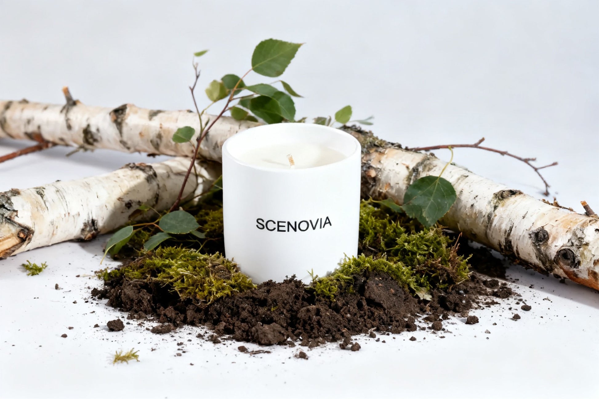 SCENOVIA woody notes scented Candle in Ceramic cups for Christmas Gift,Birthday Gift,Gift for Her,Self Care