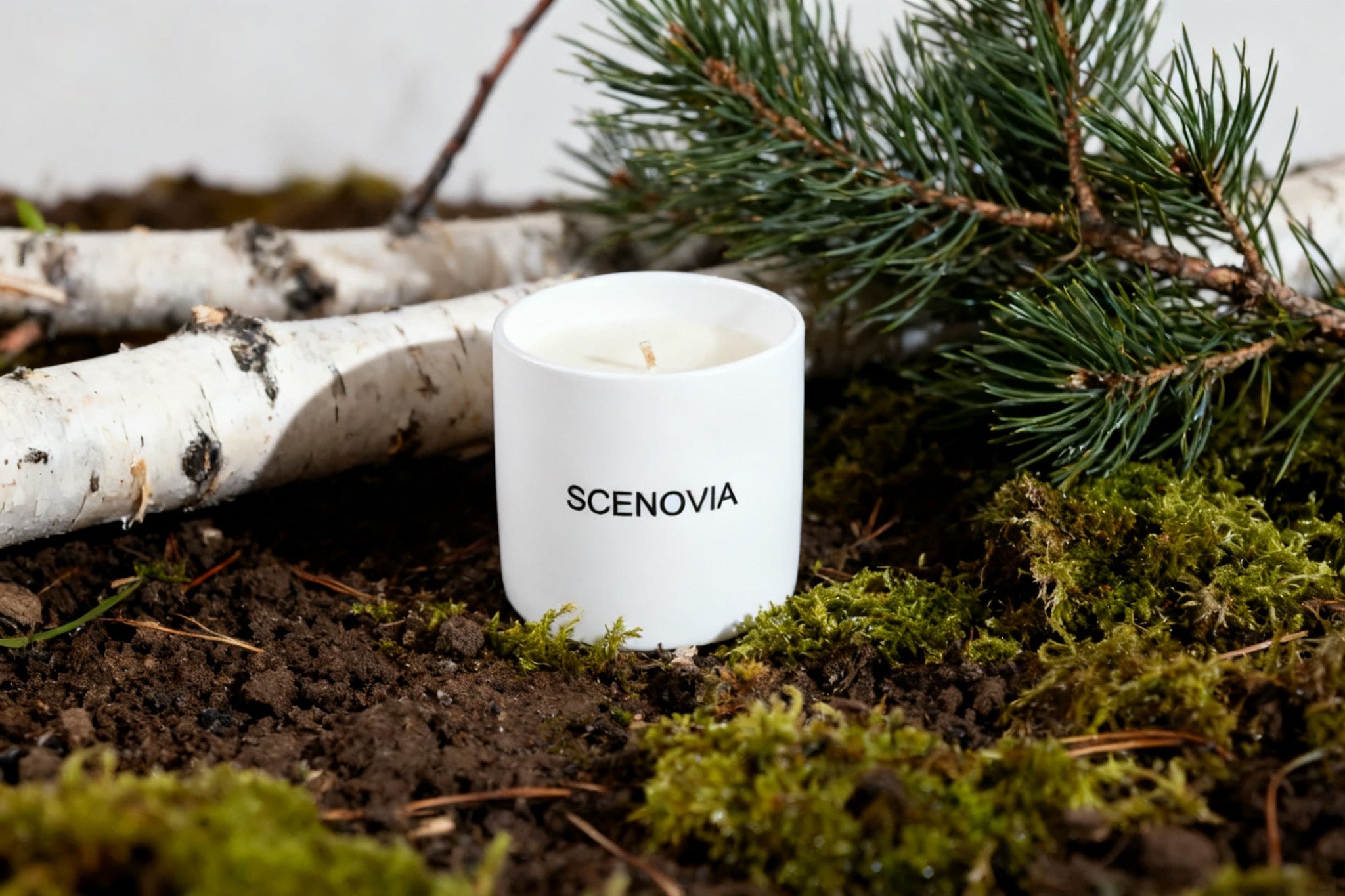 SCENOVIA Blue collier driftwood Ceramic cups woody notes Soy Candle,50+Hour Burn,Christmas Gift,Birthday Gift,Gift for Her,Self Care