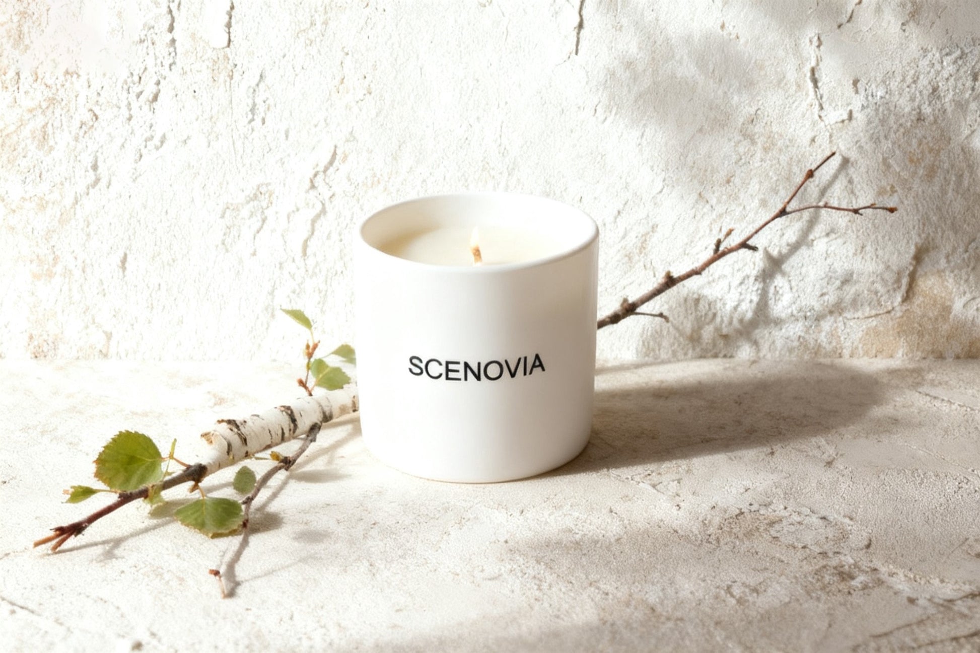 SCENOVIA French Black Juniper Natural Scented Candle Woody Notes for Home Decor & Aromatherapy