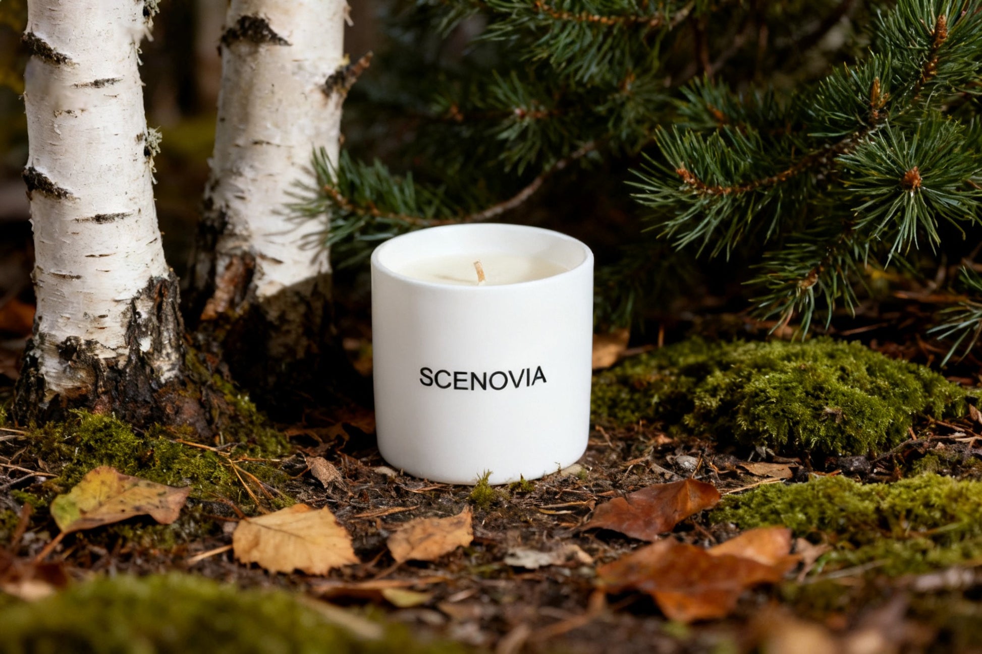 SCENOVIA woody notes Soy Candle in Ceramic cups for Christmas Gift,Birthday Gift,Gift for Her,Self Care