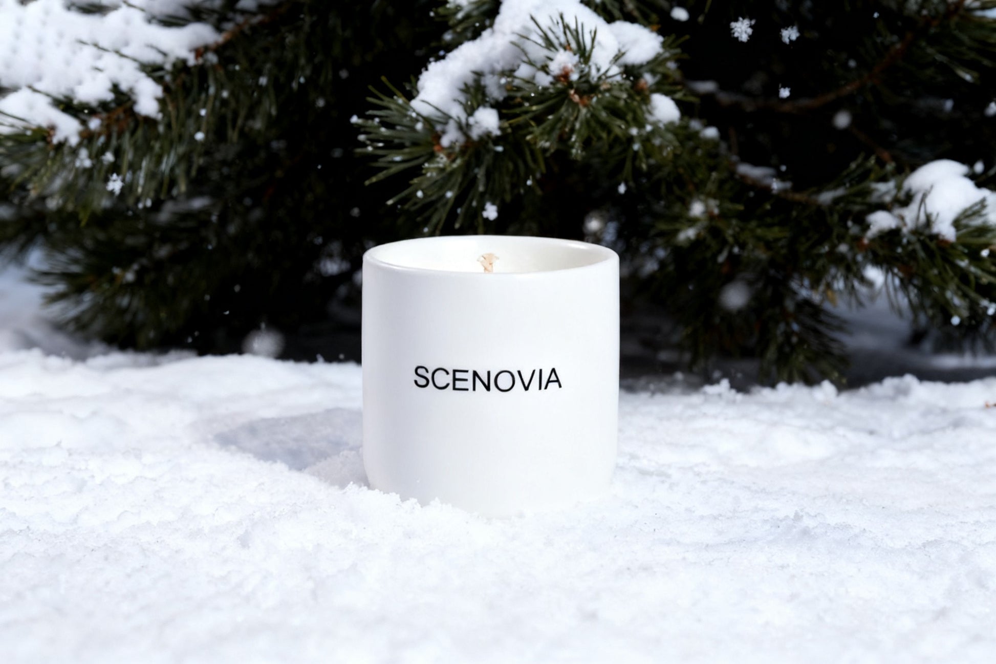 SCENOVIA French Black Juniper Natural Scented Candle Woody Notes for Christmas
