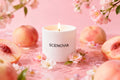 SCENOVIA Peach Scented Soy Candle in Ceramic cups,50+Hour Burn,Christmas Gift,Birthday Gift,Gift for Her,Self Care,natural fragrance