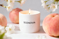 SCENOVIA Peach Scented Soy Candle in Ceramic cups for Christmas