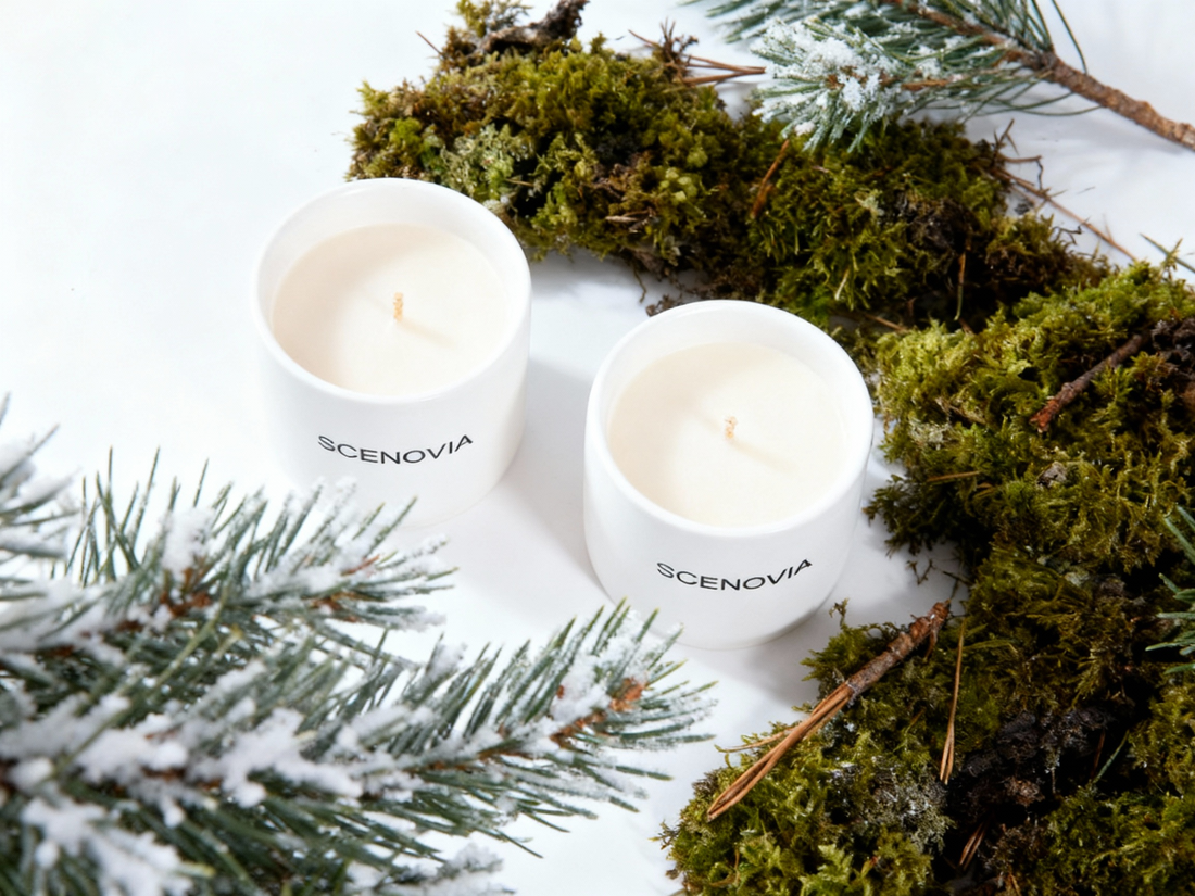 FrenchBlack Juniper 2 packs