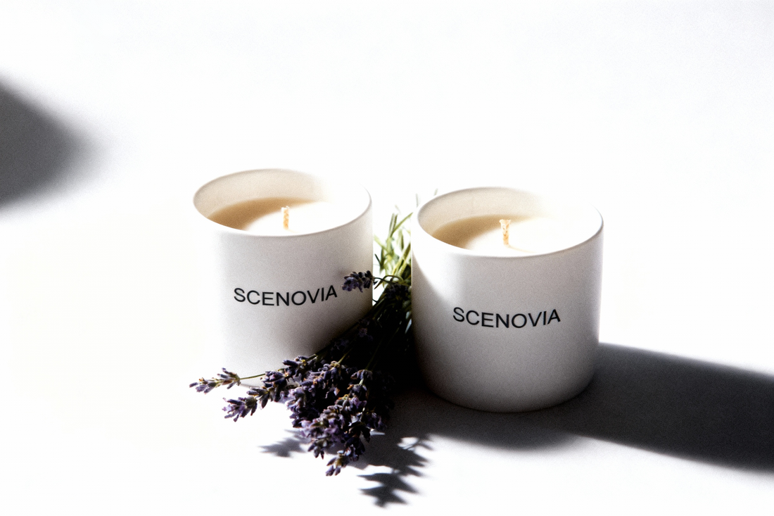 Lavender eucalyptus 2 packs